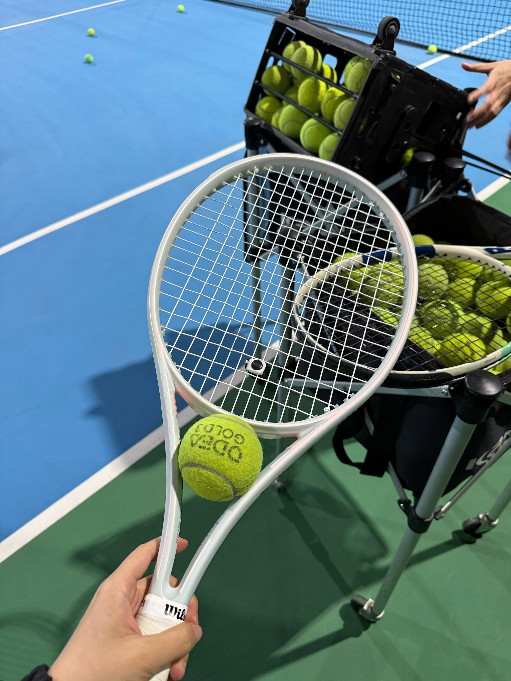 当时他缺席 当时他缺席