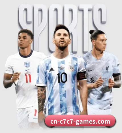 五大服务分区,信息按项目分类（www.c7c7.app）